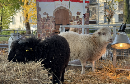 ferme pédagogique